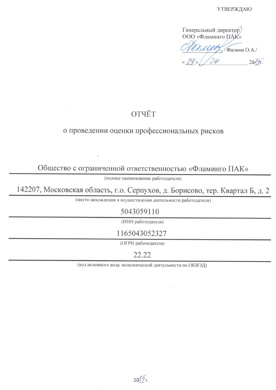 Отчет о проф рисках